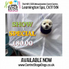 groomfest_education_wendy_brooks_pic_instagram_post
