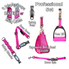 professional_set_2025