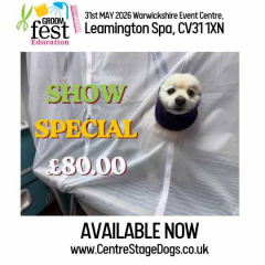 groomfest_education_wendy_brooks_pic_instagram_post