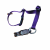 Centre Stage Never Noose: Purple Not Required Small Dogs